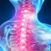 IL RACHIDE COME MISURA OLISTICA NEL TRATTAMENTO SHIATSU